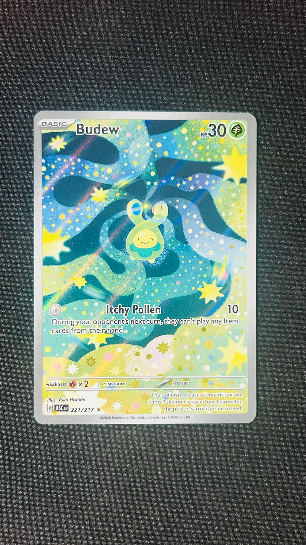 Budew 221 IR Ascended Heroes