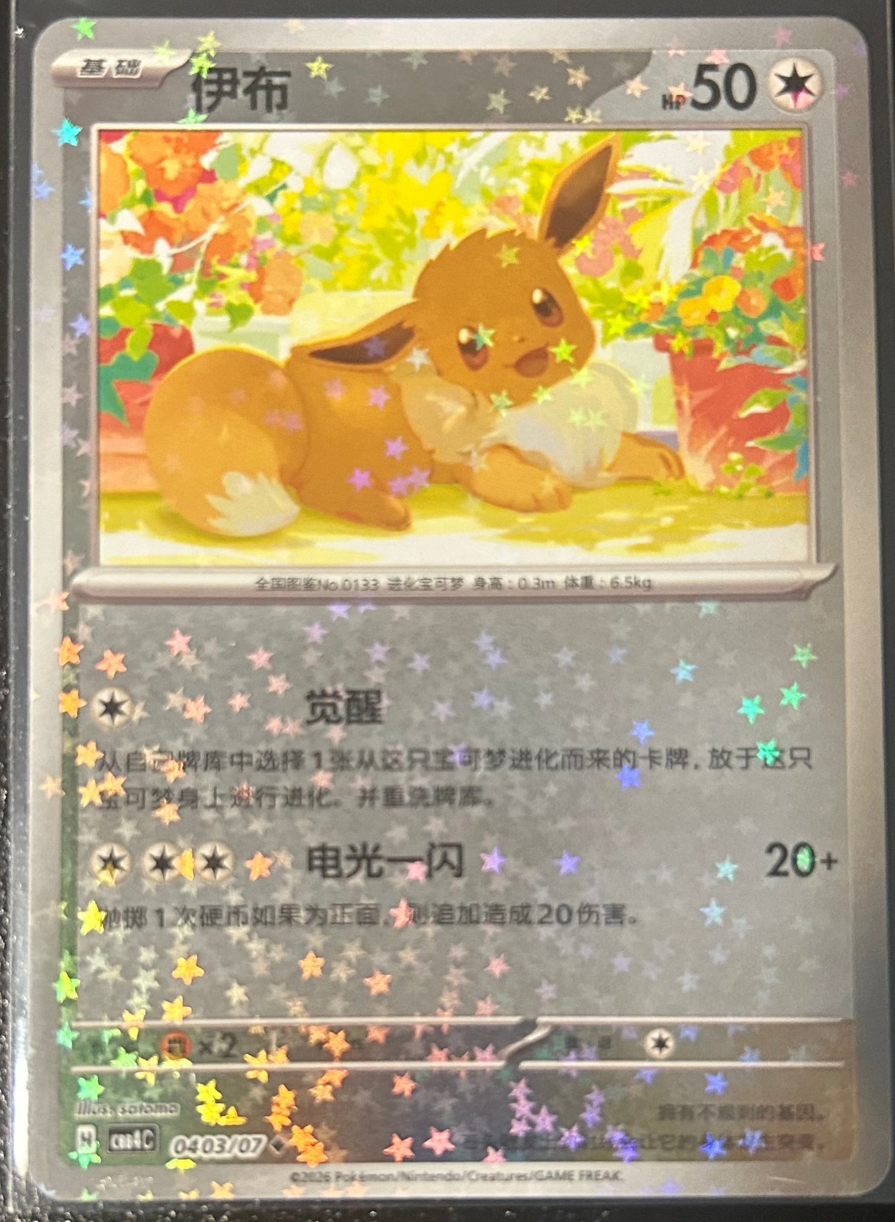 Eevee (Estrellas) 0403/07