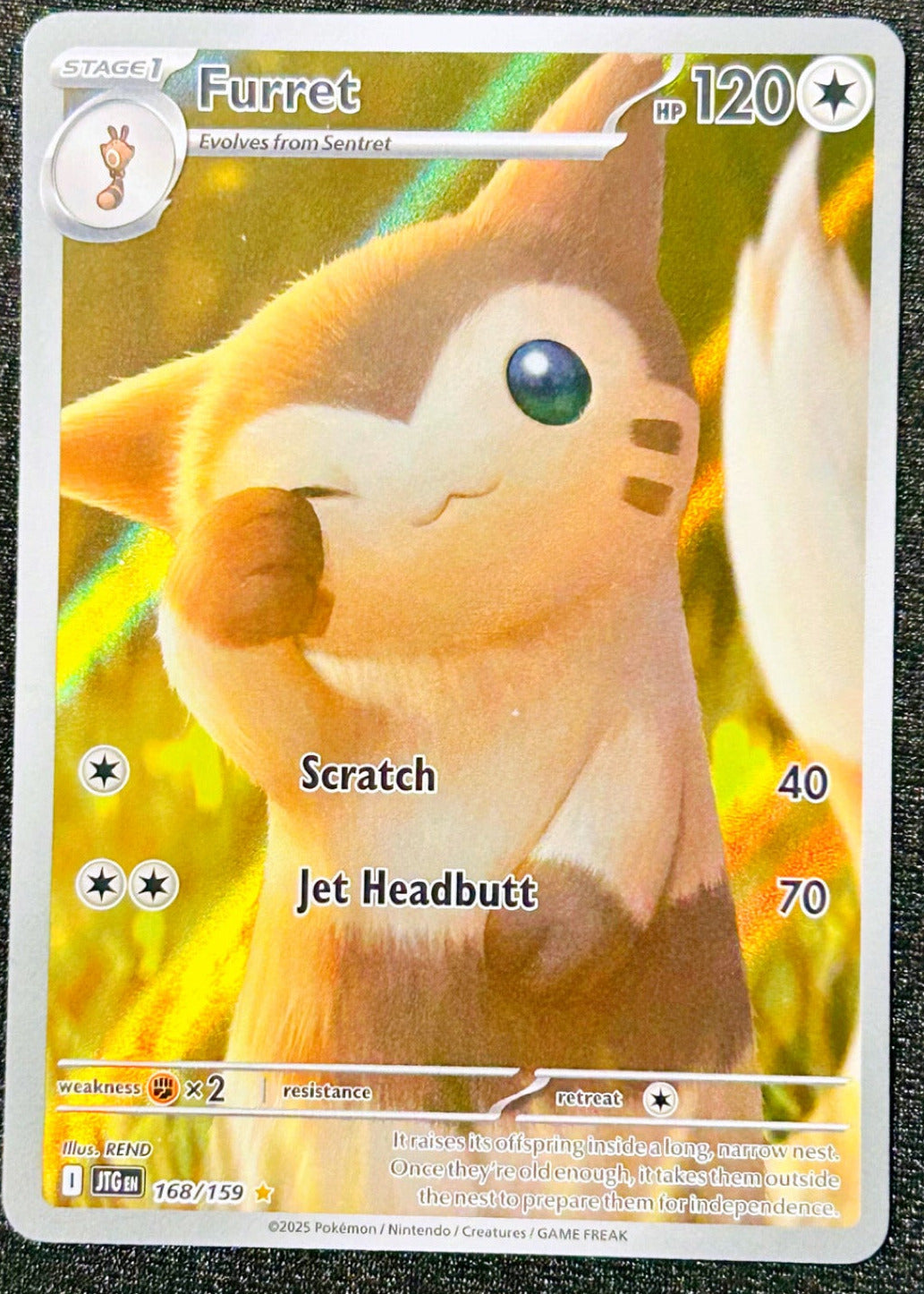 Furret 168/159 Illustration Rare Journey Together